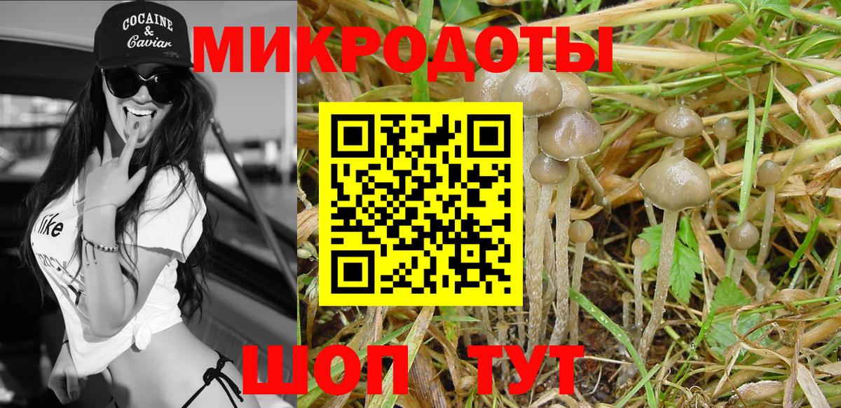 Галлюциногенные грибы мицелий Октябрьский