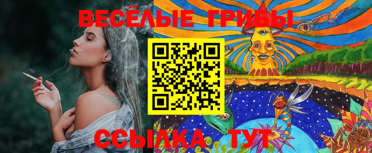 Галлюциногенные грибы Psilocybe  Вход с VPN  Октябрьский 